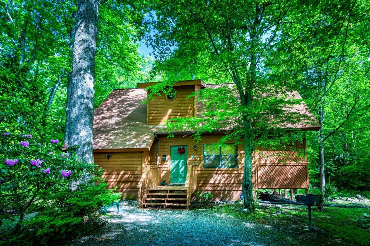 Bear Footin' On The Creek Villa Gatlinburg Eksteriør bilde